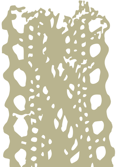 Decorative element